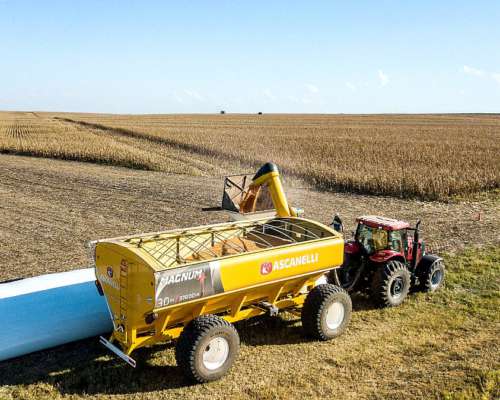 Tolva Autodescargable Ascanelli 30 TN - 4 Ruedas