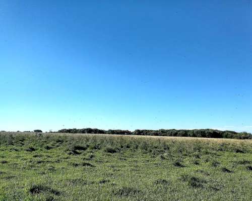Impresionante Campo Mixto. Ituzaingo. Ctes