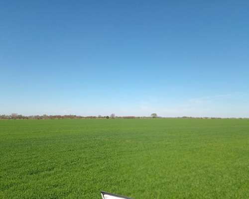 49 Has Agricolas Viale