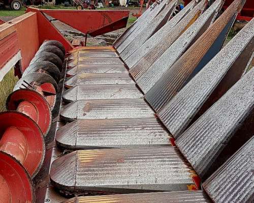 Maicero Mainero 11 a 52