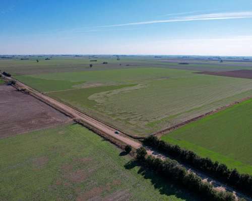 Campo en Acebal 100% Agrícola