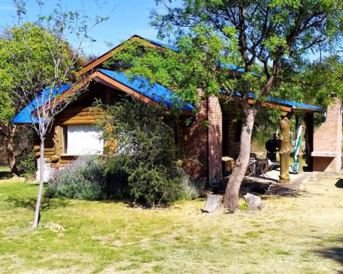 Campo con Almendros y Nogales