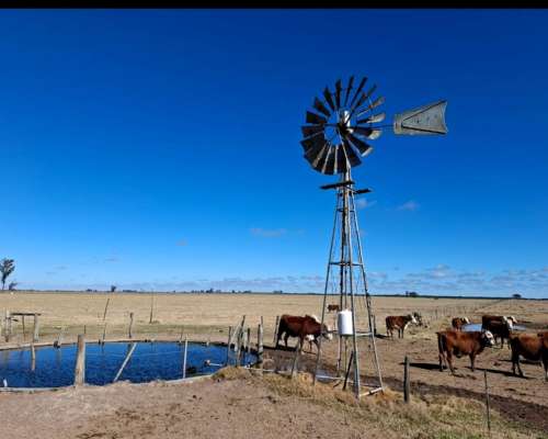 Se Venden 400 Ha en Bella Italia