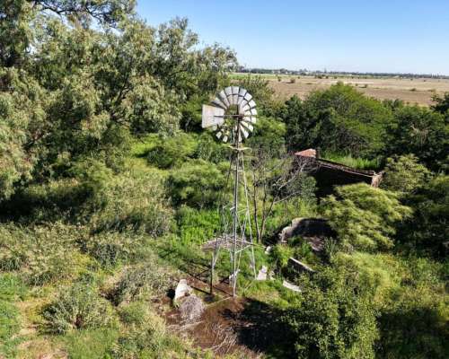 32 Has Agrícolas en San Genaro Sobre Asfalto