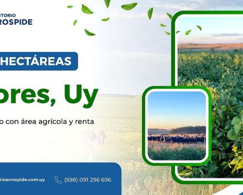 Campo en Venta Uruguay, Flores