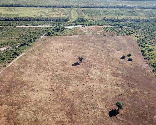 Estancia Agrícola - Ganadera