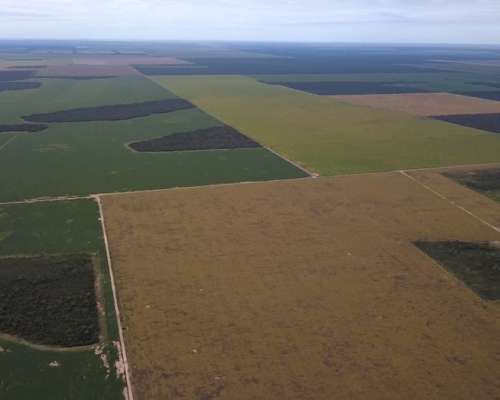 3750 Has, en Zona Quimilí