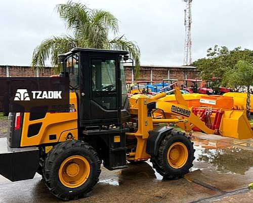 Pala Cargadora Michigan R45 IV Plus