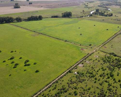 280 Hectáreas Agrícolas, Todas las Mejoras. Gualeguaychú.
