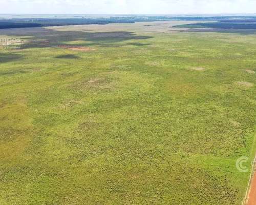 Se Vende Campo Ganadero de 505 Ha en Virasoro, Corrientes