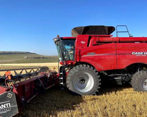 Cosechadora Case IH 7150, año 2023, 1.000 Hs Rotor, 1.800 Hs