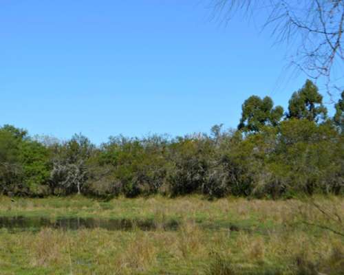 Campo de 30 HA. Sobre Ruta Prov. 39 (entre Ríos)
