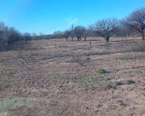 Campo Ganadero 820 Hectareas. Ubicado en Navia, San Luis