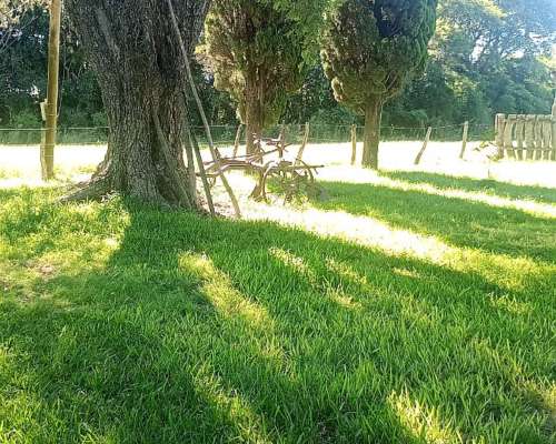 313has Agrícolas Parte con Monte