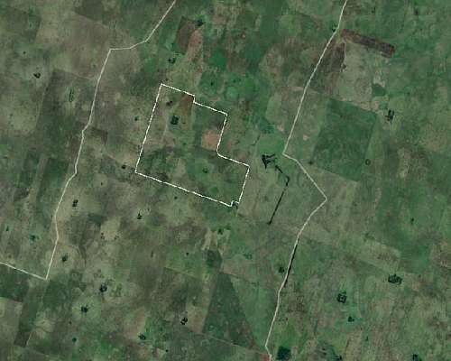 Rauch 284 Ha Campo Ganadero