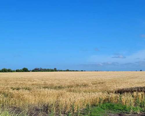 Campo Agrícola en Dto. Uruguay, Entre Ríos