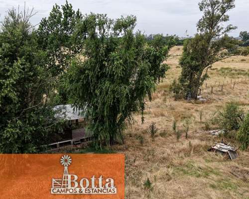 5has en Venta en Mercedes, Provincia de Buenos Aires