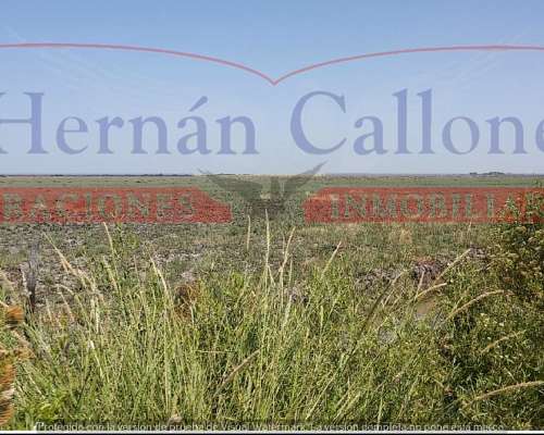 Campo Ganadero 5560 Ha en SUR de Santiago del Estero