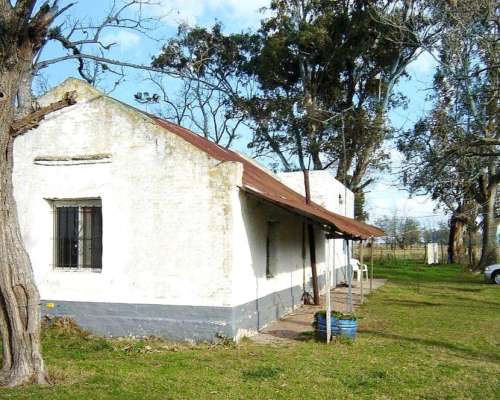 Brandsen, Buenos Aires - 284 Ha