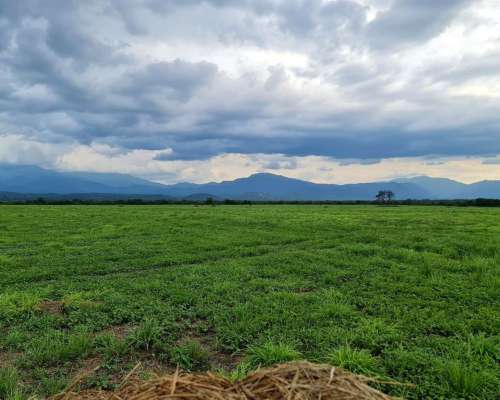 La Viña , Salta, Argentina