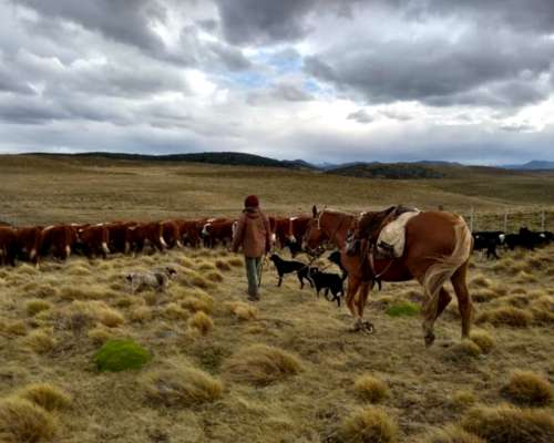 Estancia 10.000 Ha - Tierra del Fuego