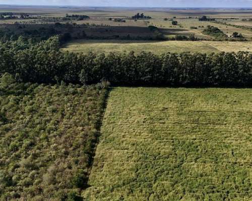 Colonia Pando, San Roque, Corrientes - 50 Ha