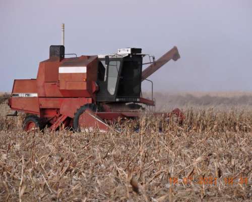 Cosechadora Vassalli 1200 Hidrostática