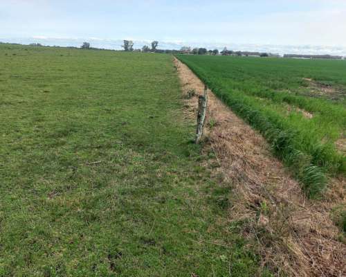 48 Hectareas Campo Agricola