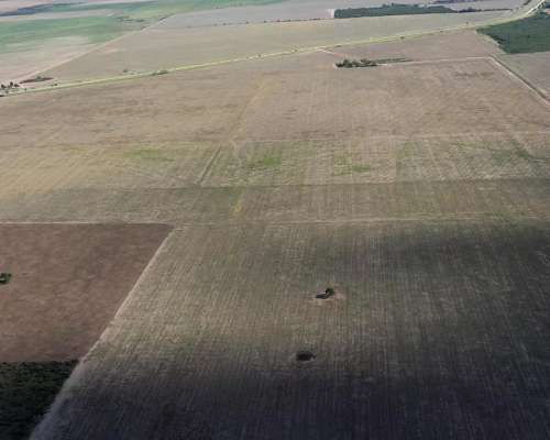 San Luis Naschel 200 Has 100 % Agrícolas