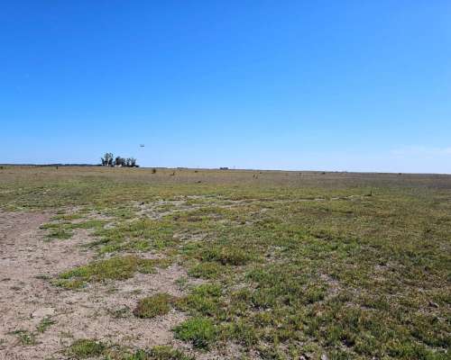 Campo Ganadero Venta 3000 Ha Saladillo
