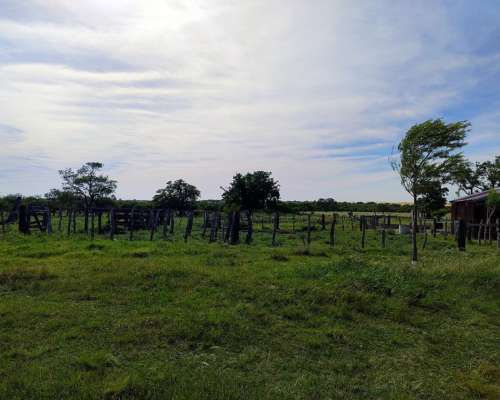 Vendo 135 Has Agricolas Basavilbaso ER