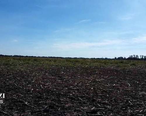25 Has Agricolas en Humboldt. Suelo Clase 1 - IP 79%.