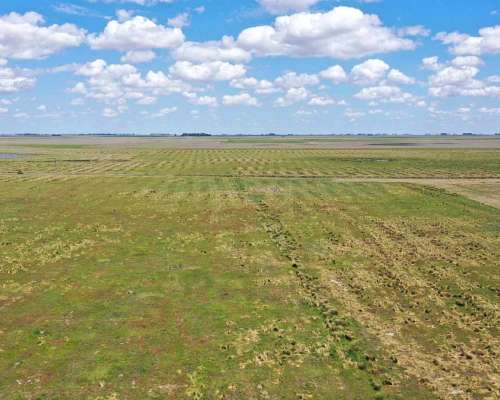 Pcia. de Buenos Aires - Cañada Seca 844 Has