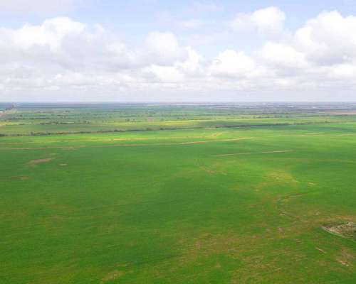 Pcia. de Salta - las Lajitas 8005 Has