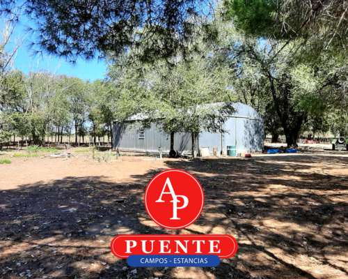 En Venta 5.000 Has Jaguel del Monte, la Pampa