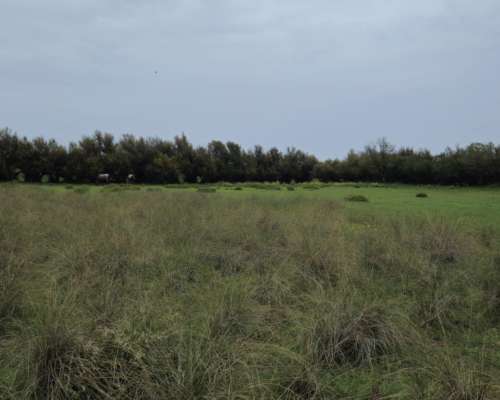 440 Ha Argerich, Sobre Ruta