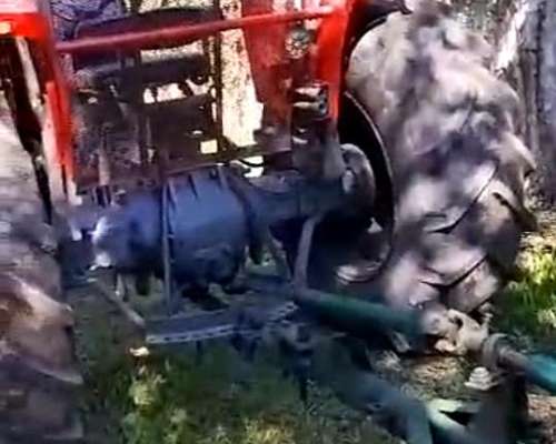 Agricola Tractor Massey Ferguson 165