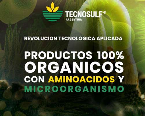 Tecnogreen Fertilizante Foliar Orgánico X 20 Lts