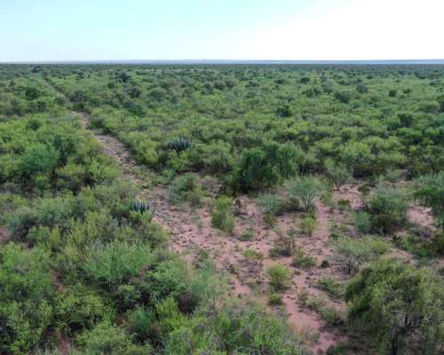 Chamical , la Rioja, Argentina