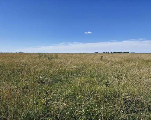 Paraje Pavón, General Lavalle, Buenos Aires - 4.784 Ha