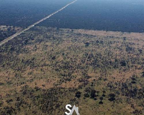 Alquila: Campo Ganadero 6000 Hectáreas en Arizona, San Luis