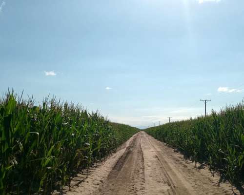 69 Ha en Venta en Monte Cristo