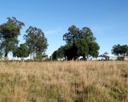 Vendo Campo 5000 Hectáreas en San Roque Corrientes
