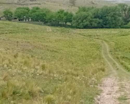 Vendo Campo en la Carolina,san Luis