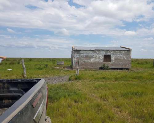 Gato Colorado Vendo 2100 Ha Ganaderas