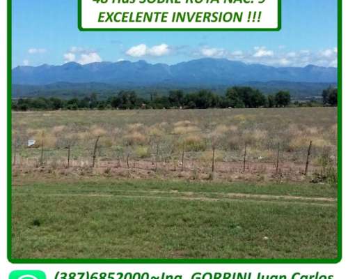 Campo Suburbano Sobre Ruta Nacional 9.