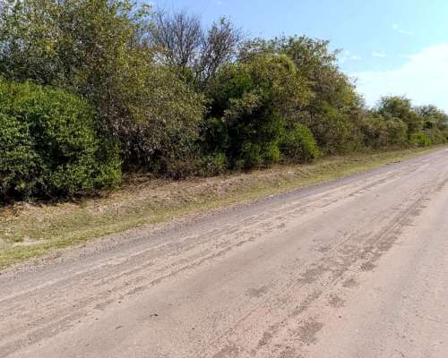 Vendo Campo Ganadero en la Pampa