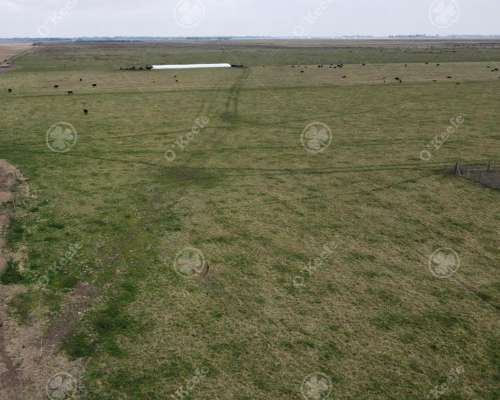 Campo en Venta de 210 Has en Dolores