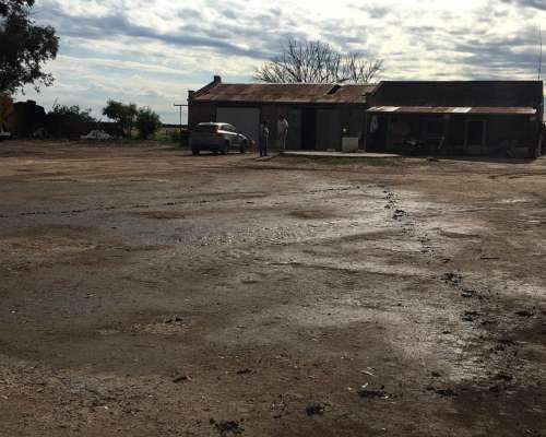 Campo Agrícola en Fortin Inca, Prov. de SGO del Estero