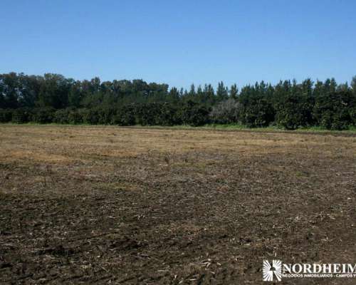 Zarate , G.b.a. Zona Norte, Argentina